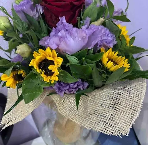 Monolocale Piazza Isolo Vérone